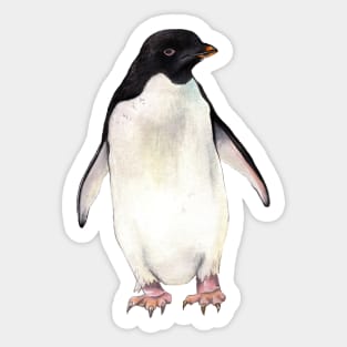 Adelie Penguin Sticker